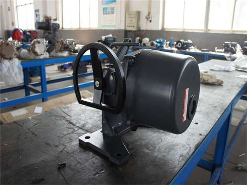 風(fēng)門(mén)電動(dòng)執(zhí)行器廠 風(fēng)門(mén)電動(dòng)執(zhí)行器 天津澳托克執(zhí)行器 查看